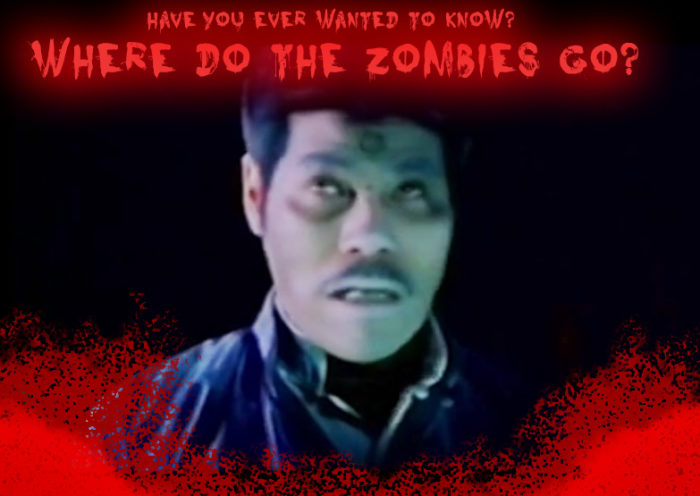 Where Do The Zombies Go, Music Video